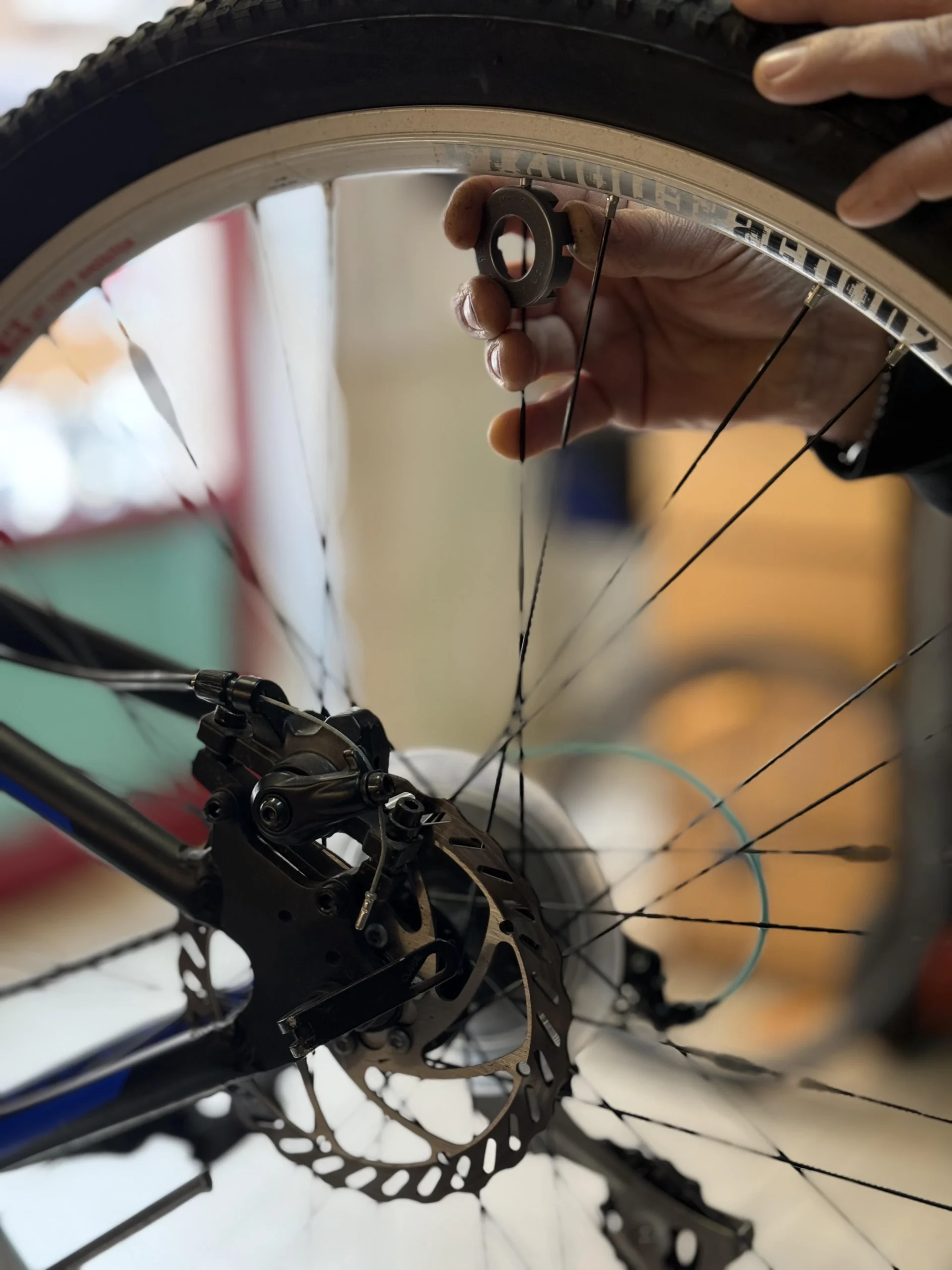 OFFICINA SPECIALIZZATA bici