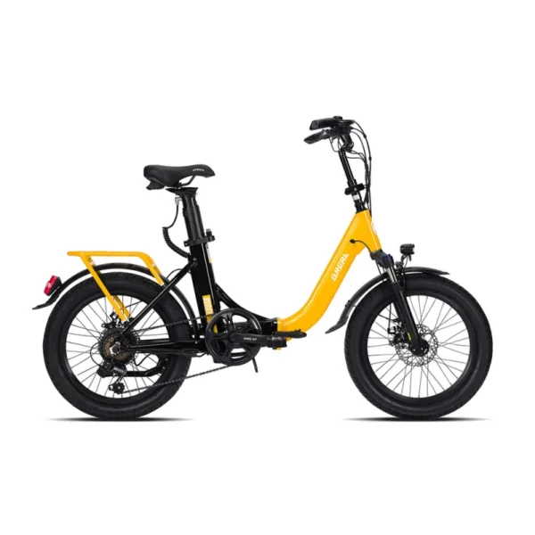 BRERA BUGGY 20 FAT - immagine 2