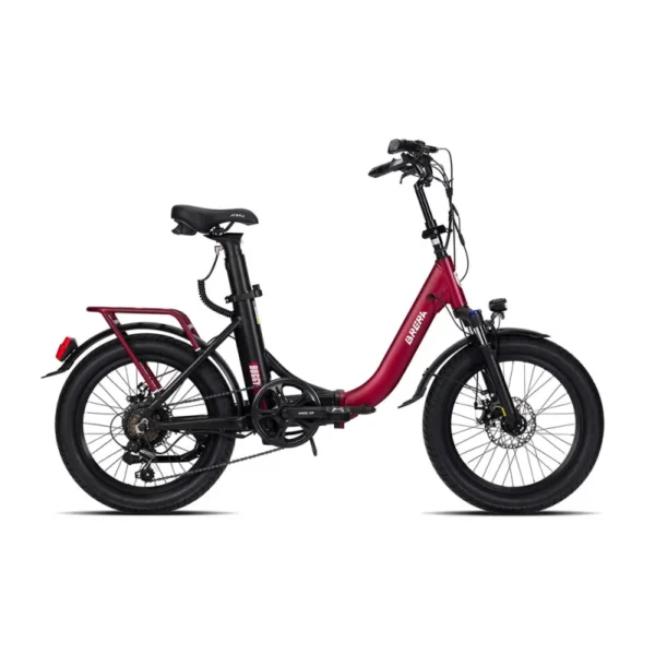 BRERA BUGGY 20 FAT - immagine 4