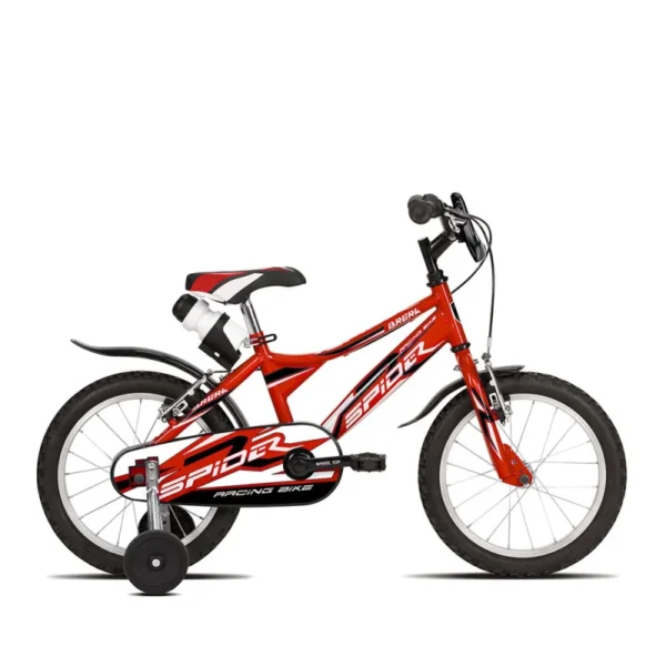 BRERA SPIDER 16 - immagine 4