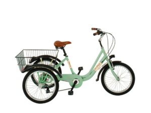 VIA VENETO TRICICLO ELETTRICO 20